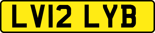 LV12LYB