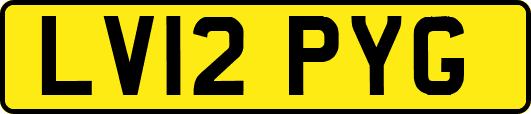 LV12PYG