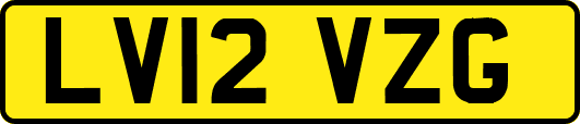 LV12VZG
