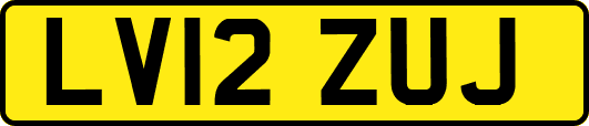 LV12ZUJ