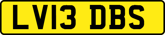 LV13DBS