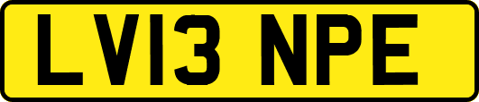 LV13NPE
