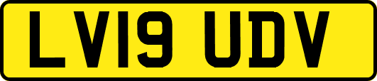 LV19UDV