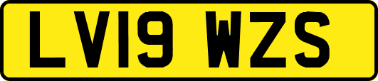 LV19WZS