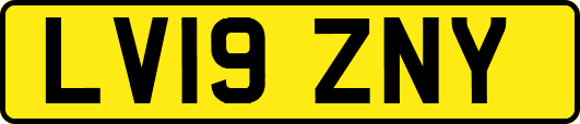 LV19ZNY