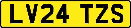 LV24TZS