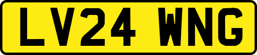 LV24WNG