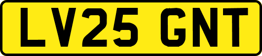 LV25GNT