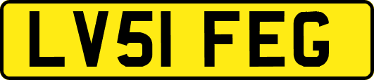 LV51FEG