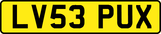 LV53PUX