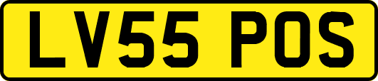 LV55POS
