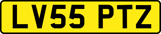 LV55PTZ
