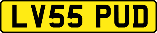LV55PUD