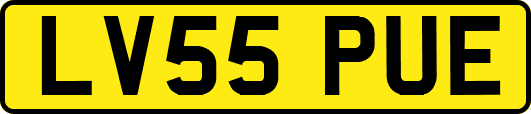 LV55PUE
