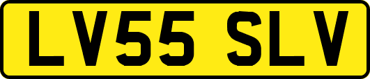 LV55SLV