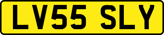 LV55SLY