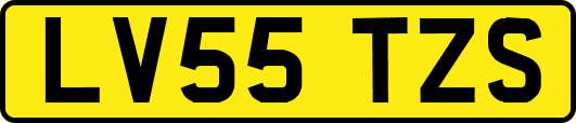 LV55TZS
