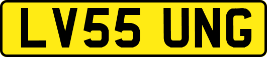 LV55UNG