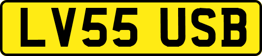 LV55USB