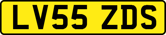 LV55ZDS