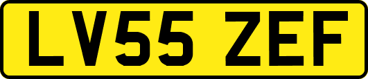 LV55ZEF