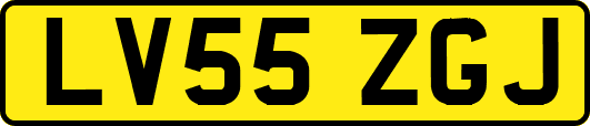 LV55ZGJ