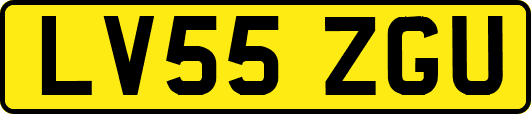 LV55ZGU