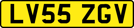 LV55ZGV