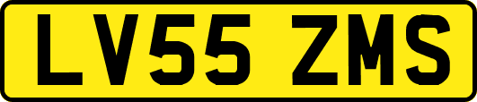 LV55ZMS
