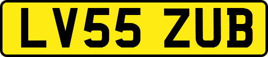 LV55ZUB