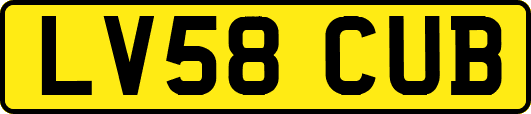 LV58CUB