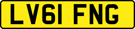 LV61FNG
