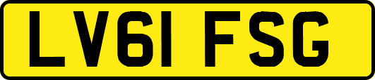 LV61FSG