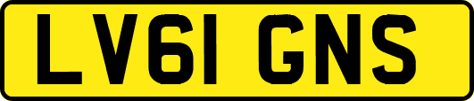 LV61GNS