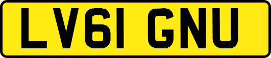 LV61GNU