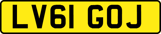 LV61GOJ
