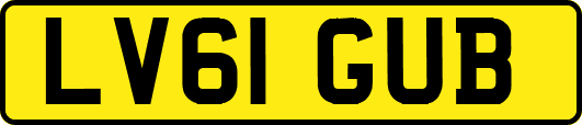 LV61GUB