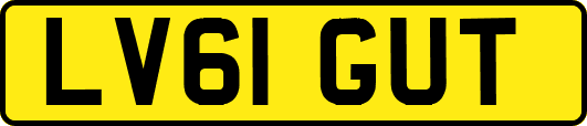 LV61GUT