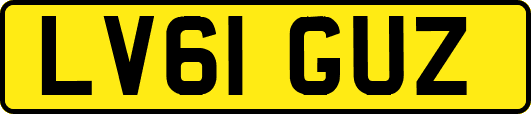 LV61GUZ