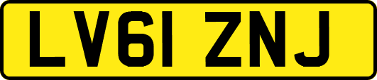 LV61ZNJ