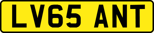 LV65ANT