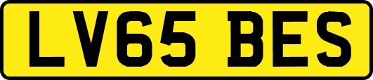 LV65BES