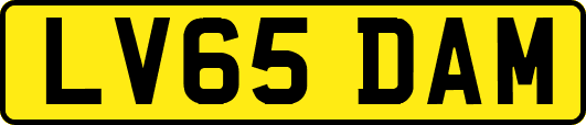 LV65DAM
