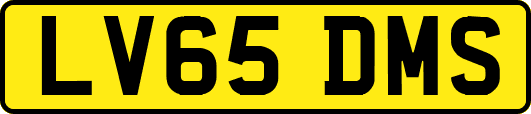 LV65DMS