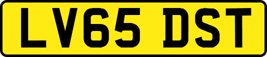 LV65DST