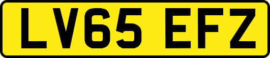 LV65EFZ