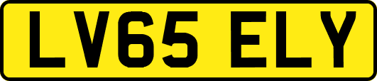 LV65ELY