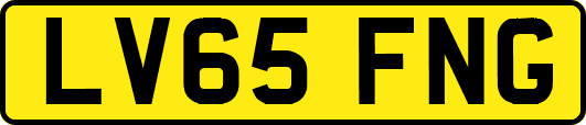 LV65FNG