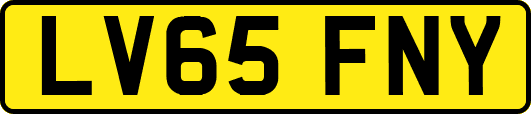 LV65FNY