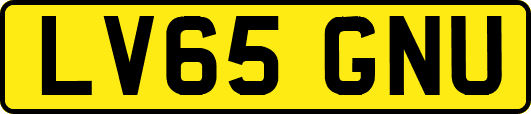 LV65GNU